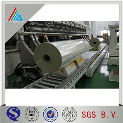 Poliestera plēves kabelis, 50 mic 75 mic 100 mic